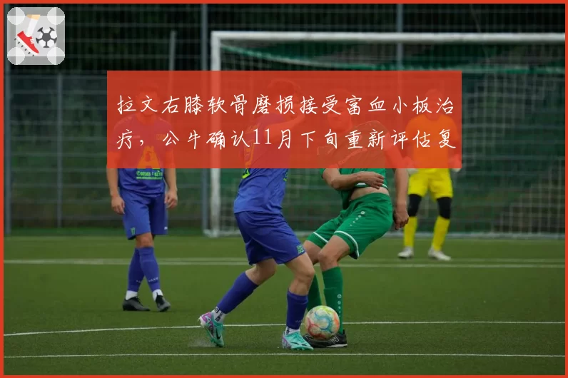拉文右膝软骨磨损接受富血小板治疗,公牛确认11月下旬重新评估复出